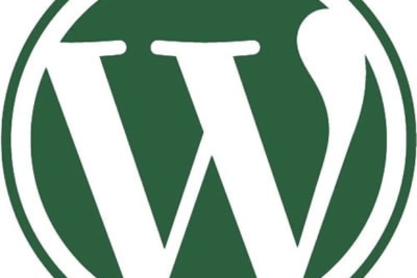 Colorado Web Design uses WordPress