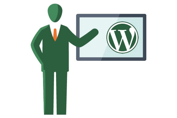 WordPress lesson