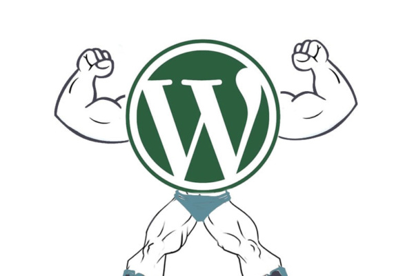 WordPress Dominance