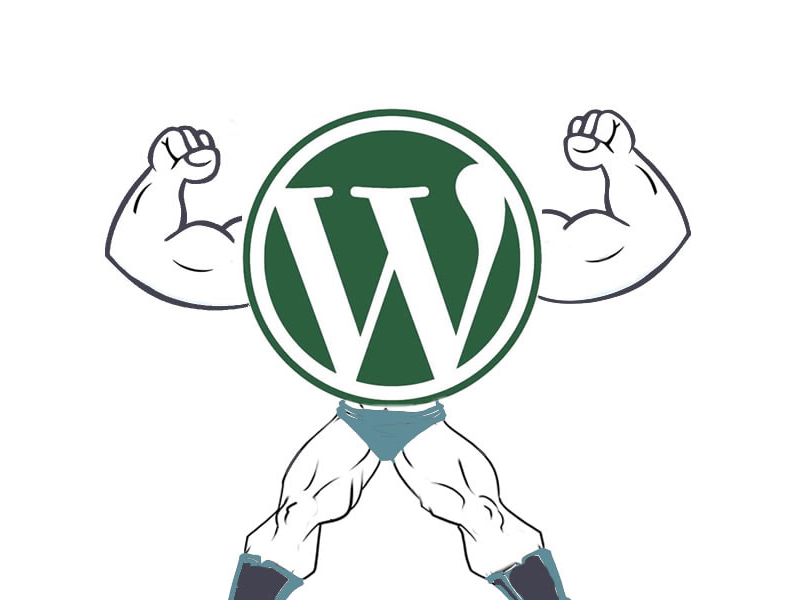 WordPress Dominance